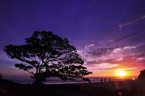 sunset pok tunggal