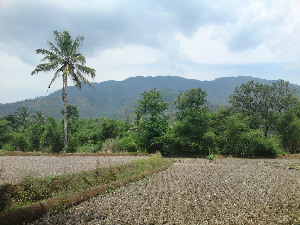 Gunung Sawal Tempatwisataunik Com Gunung Sawal Tempatwisataunik Com