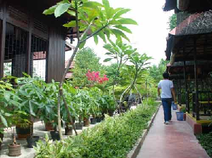 rumah makan rindang alam