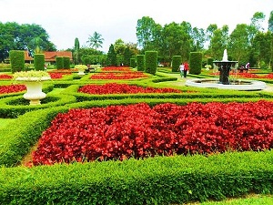  Taman  Bunga  Cihideung  TempatWisataUnik com