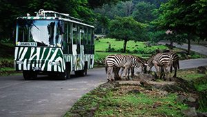 10 Tempat Wisata Study Tour di Malang yang Edukatif - TempatWisataUnik.com