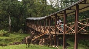 Wana Wisata Penangkaran Rusa Giri Jaya