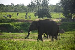 144 Tempat Wisata di Lampung yang Wajib Dikunjungi - TempatWisataUnik.com