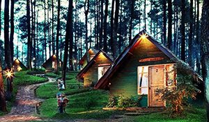 24 Tempat Wisata Hutan di Bandung Paling Indah ...