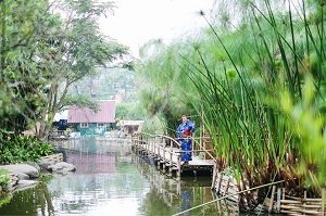 Kyotoku Floating Market