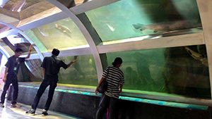 7 Tempat Wisata Aquarium di Indonesia yang Terkenal - TempatWisataUnik.com