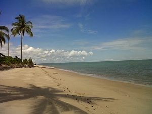 Pantai Kelapa Mangkupadi