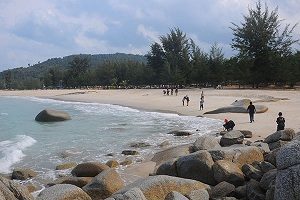 pantai tikus emas 1