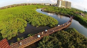 Wisata Mangrove Park Pekalongan