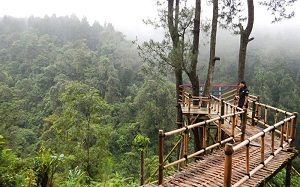 Foto Sikembang Park