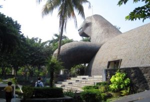 museum komodo