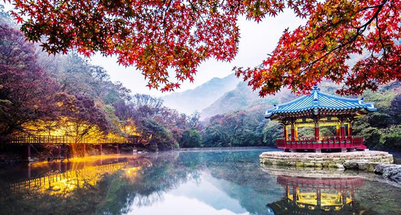 10 Tempat Wisata di Korea Selatan Saat Musim Gugur  