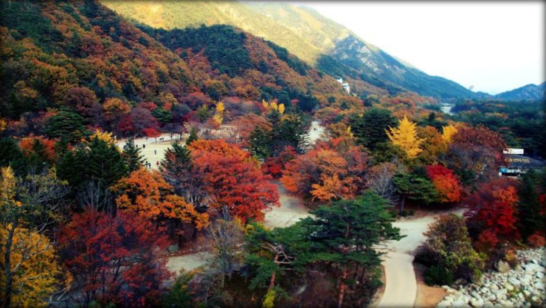 10 Tempat Wisata di Korea Selatan Saat Musim Gugur  