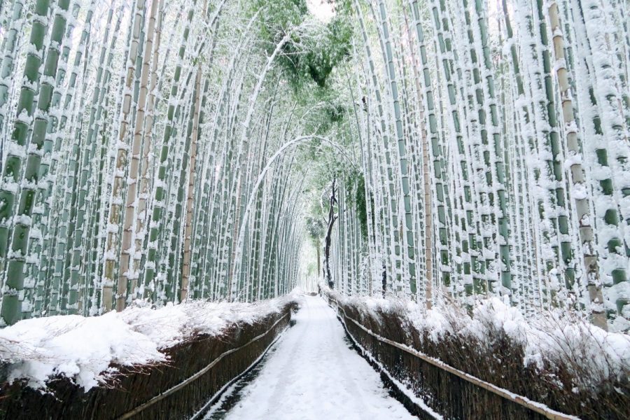 3 Tempat Wisata di Kyoto, Jepang Saat Musim Salju