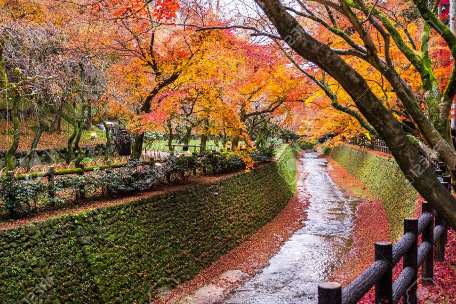 6 Tempat Wisata Musim Gugur di Kyoto, Jepang yang Romantis