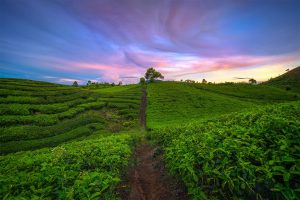 5 Tempat Wisata  Di Solok  Dengan Pemandangan Menakjubkan 