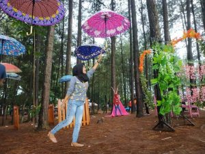 wana wisata pokland