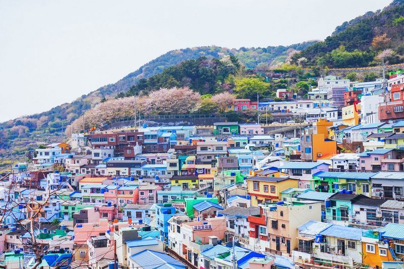 Kota di Korea Selatan yang Paling Populer untuk Wisata