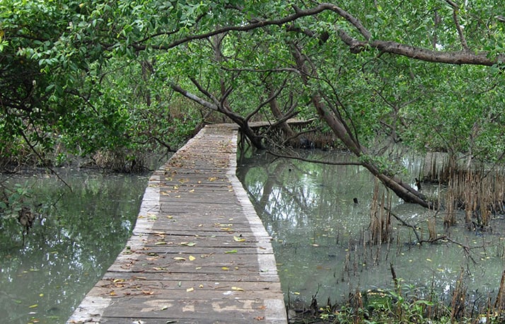 Tempat Wisata Di Jakarta Untuk Self Healing Tempatwisataunik Com