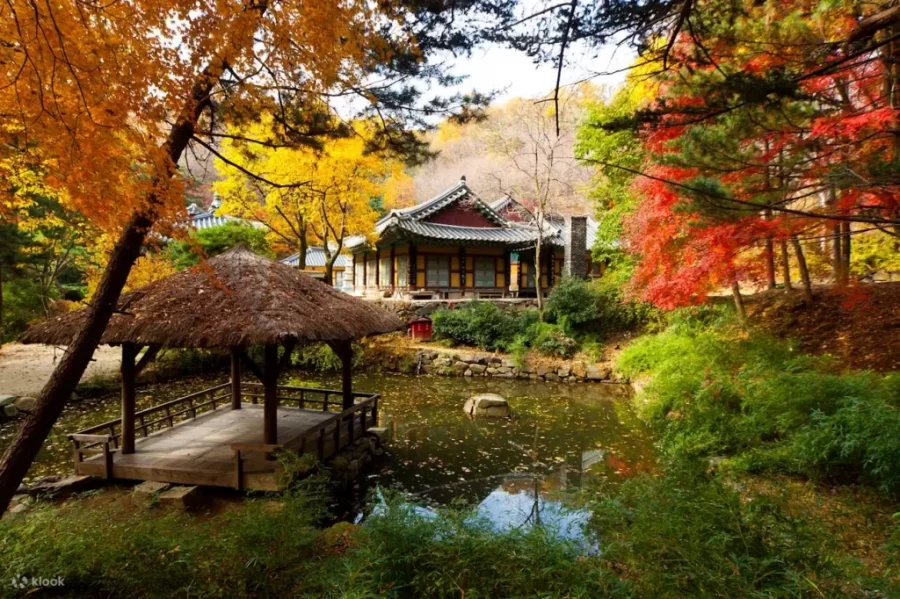 Korean Folk Village (wisata angker Korea Selatan)
